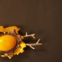 [브로치디자인] amber broach 호박브로치 ((2011,박소현作))