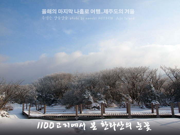 [제주도여행-겨울] 1100고지에서 한라산의 겨울 눈꽃을 처음으로 만나다 : 네이버 블로그