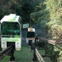 후쿠오카 동식물원 - 야외 식물원