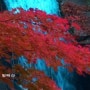 14.Autumn in bangta mountain-HD-2011