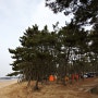 [7th] 아듀 2011~ 올해의 마지막 캠핑 - 태안 "몽산포 오토캠핑장"