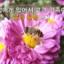 고객감동과 창의적서비스 : 꽃과 꿀벌 그리고 나