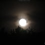 [050] - 보름달