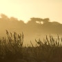 Pebble Beach sunset...