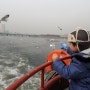 한강의 겨울철새를 만날수 있는 곳 - 한강유람선