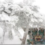 눈 내리는 산사(山寺,A Mountain Temple in Snow)