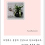 (▣)인사동 갤러리 스카이연 "2012 뉴 밀레니엄 展" / 출품소식