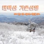 [태백산] 겨울 태백산 일출산행을 떠나요!!