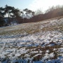 눈덮인 보리밭