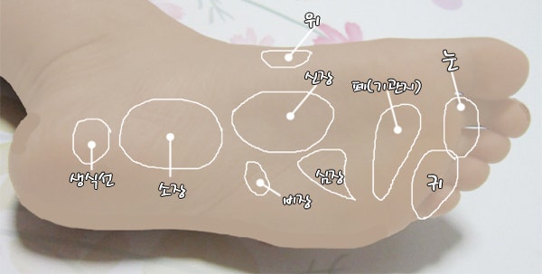 발바닥 지압 - 발지압점 : 네이버 블로그