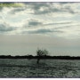 캄보디아 톤레삽 호수 소경