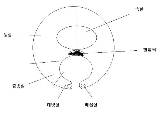 #5. 참치 종류와 부위별 설명 : 네이버 블로그