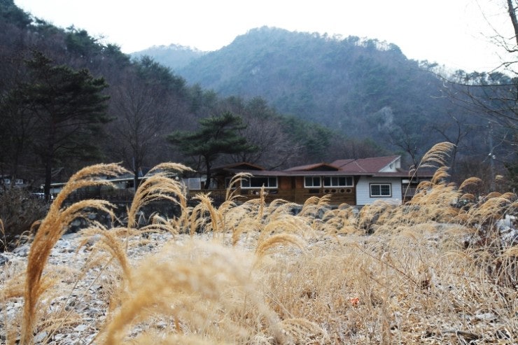 [캠핑] 솔바람펜션 그리고 에코밸리에서의 만남