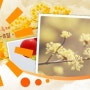 이천백사산수유꽃축제[2012.04.06~2012.04.08]
