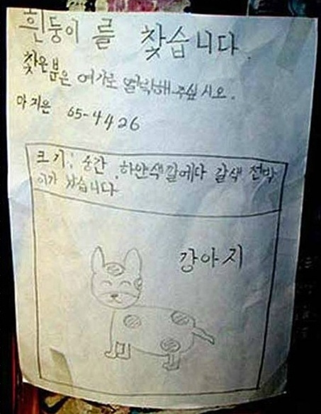 재밌는 사진 -☆ : 네이버 블로그