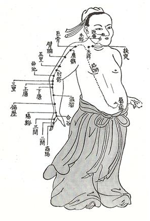 조아요의 경혈학 강의(054) : 수양명대장경의 주요기능과 순행부위 : 네이버 블로그