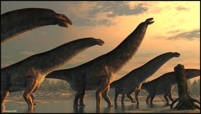 이시사우루스 콜베르티(Isisaurus colberti) : 네이버 블로그