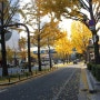 [오사카여행] 교토여행-후시미 이나리 찾아가는 길