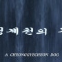 청계천의 개(Dog In Cheonggyecheon, 2007)