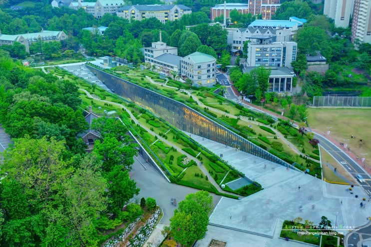 이화여자대학교 캠퍼스의 푸르른 밤[이화여자대학교/캠퍼스의 밤/서울풍경/ECC/이대/이화여대] : 네이버 블로그