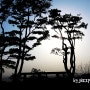 120401 수리산 능선길종주