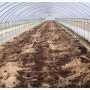 2012년 여주(비터멜론)일지(4월15일)-여주 밭 꾸미기