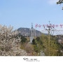 [22]부산 민주공원의 벚꽃_부산_민주공원_DAY_2011.04.16