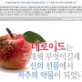 스테로이드제의 진실 - 그 역활과 부작용