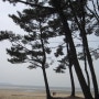 (캠핑과 자전거) 드넓은 몽산포 캠핑장 바닷바람이 부는 해변....