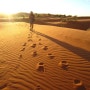 나미비아, 나미브 사막, 사막 투어