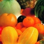 과일 다이어트, 다이어트에 좋은 과일의 종류