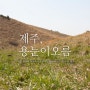 제주도 봄 여행 :: 용눈이오름 [용눈이오름/버스정류장 GH 오름투어]