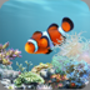 [AniFree/안드로이드/라이브 배경화면] aniPet 수족관 라이브 배경화면 (aniPet Aquarium Live Wallpaper) - 다양한 물고기 감상과 육성까지 가능한 수족관 라이브 배경화면