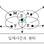 융합인재교육(STEAM) 수업 사례-서울 동자초등학교