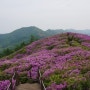 지리산 바래봉철축_2012년 5월 19일