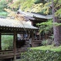 [교토] 에이칸도 (Eikando Temple)