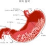 안양종합검진//혈액순환 장애 증상//공단직장검진