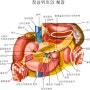 내시경잘하는곳//고혈압 치료방법//호계동종합건강검진