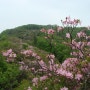 서리산_축령산 철죽산행