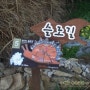 청산도의 봄꽃+청산도 배편(배시간)