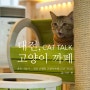 대전 나들이 :: 대전 은행동 고양이까페 CAT TALK [대전 여행/고양이까페/캣톡/CAT TALK]