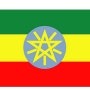 이디오피아집엔 이디오피아(에티오피아) 국기가 있다~~!