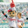 LG TWINS - STYLE GUIDE