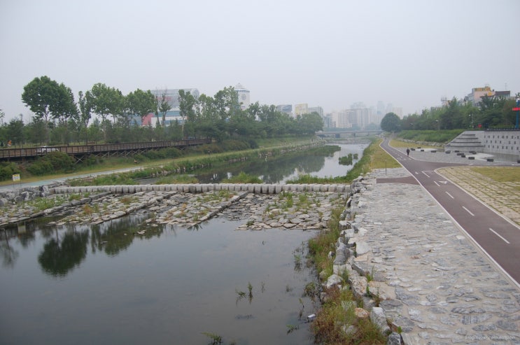 갑천의 아침 산책 : 네이버 블로그