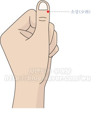 콕 찝어 알아둬야 할 사혈침 혈자리 7선 : 네이버 블로그