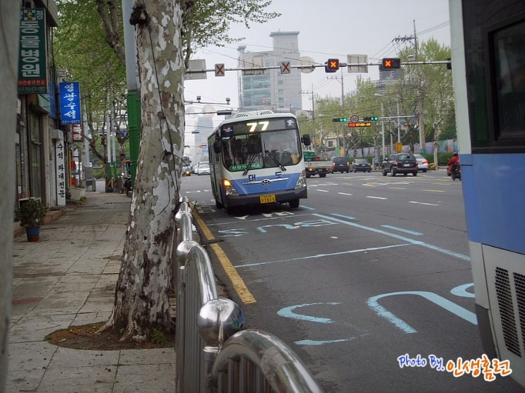 부산시 77번 버스노선정보 [부산대↔서면↔학장동/부산시내버스] : 네이버 블로그