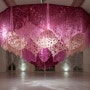 Installation Artist Manuel Ameztoy