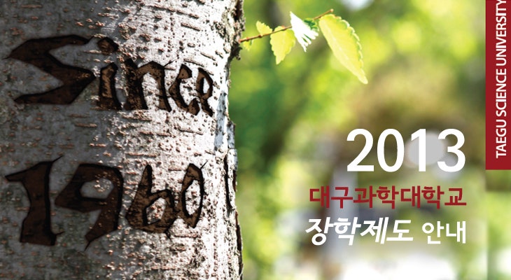 [전문대장학금/장학금받는법] 2013 입학생을 위한 장학금 받는 법 안내 : 네이버 블로그