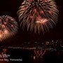미국의 독립기념일데이 불꽃축제 이야기 (fireworks independence day)