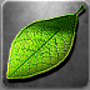 [Maxelus.net/안드로이드/라이브 배경화면] Fresh Leaves - 여름의 분위기를 살릴 수 있는 녹색 나뭇잎을 이용한 라이브 배경화면